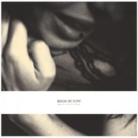Birds in Row - You, Me & the Violence