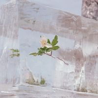 Efterklang - Hold Me Close When You Can