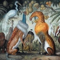 ZA&Auml;AR - Magická Džungl&rsquo;a