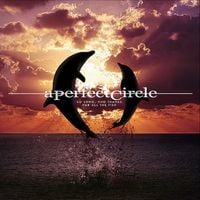 A Perfect Circle - So Long, and Thanks for All the Fish