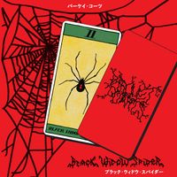 Parquet Courts - Black Widow Spider