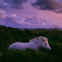 Boerd - Nomo