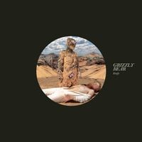 Grizzly Bear - Knife