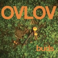 Ovlov - Buds