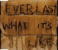 Everlast - What It's Like