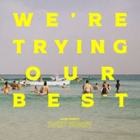 Sweet Nobody - We're Trying Our Best