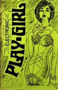 Electronic Play-Girl - Electronic Play-Girl