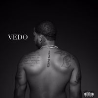 VEDO - 1320