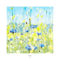 [.que] - Flowers