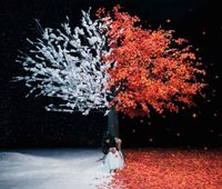 Aimer - 茜さす / everlasting snow