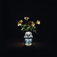 Billy Strings - Renewal