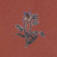 Flavien Berger - De la friche