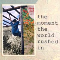 The Finks - The Moment The World Rushed In