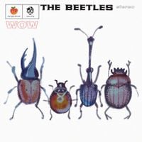 Louie Zong - The Beetles