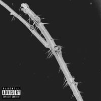 Ronce - Aquatics
