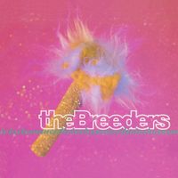 The Breeders - Divine Hammer