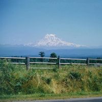 Kurt Stewart & Nobuddy - everything is so green this time of year
