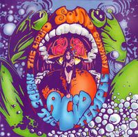 Liquid Sound Company - Inside the acid temple