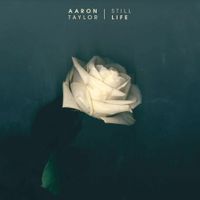 Aaron Taylor - Still Life