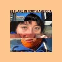 thanks for coming - #1 Flake in North America