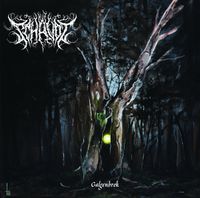 Schavot - Galgenbrok