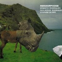Ernesto Rodrigues, Guilherme Rodrigues & Stephan Bleier - Anamorphose
