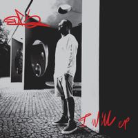 DRS - I Will EP