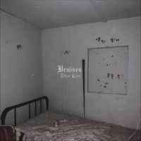 Ethel Cain - Bruises