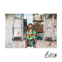 Silva - Brisa