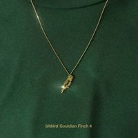 Various Artists - Gouldian Finch 4