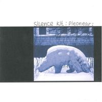 Silence Kit - Pieonear
