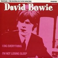 David Bowie - I Dig Everything