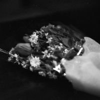 Amazondotcom - War Bride