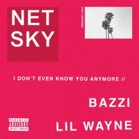 Netsky - I Don't Even Know You Anymore