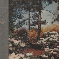 Black Brunswicker - Heavy Clouds Over A Tired World