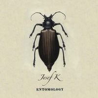 Josef K - Entomology
