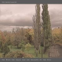 The Morningside - The Wind, the Trees and the Shadows of the Past