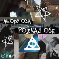 Młody Osa - poznaj ose