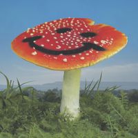 Nathan Melja - Wonderland