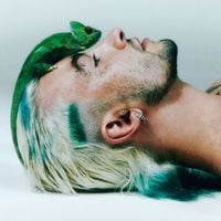 CHAMELEO - ECDISE