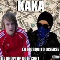 Lil Mosquito Disease - KAKA