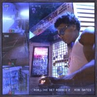 Rob Gates - Rob Like Get Robbed 2