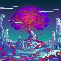 Ambulo - Polar