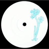 DJ Different - Wilcoxia poselgeri