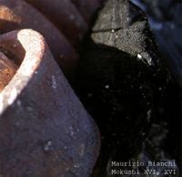 Maurizio Bianchi - Mokushi XVI, XVI