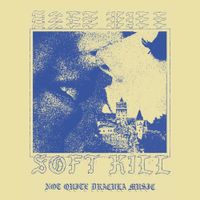 Soft Kill - Not Quite Dracula Music (Demo)