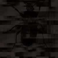 Kontext - Dysphoria