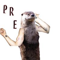 PRE - Epic Fits