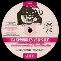 DJ Sprinkles vs K-S.H.E - A Short Introduction to the House Sounds of Terre Thaemlitz