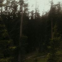 Moulderyawn - Where Trees Grow Old